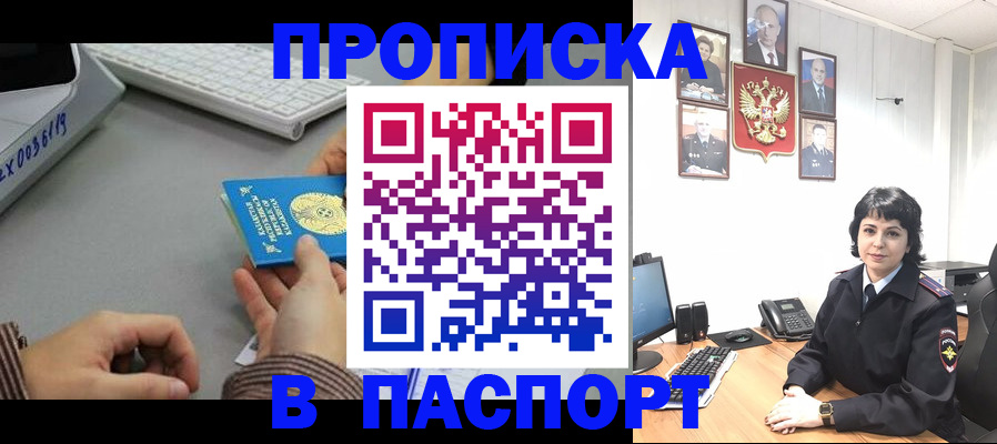 прописка в Невеле